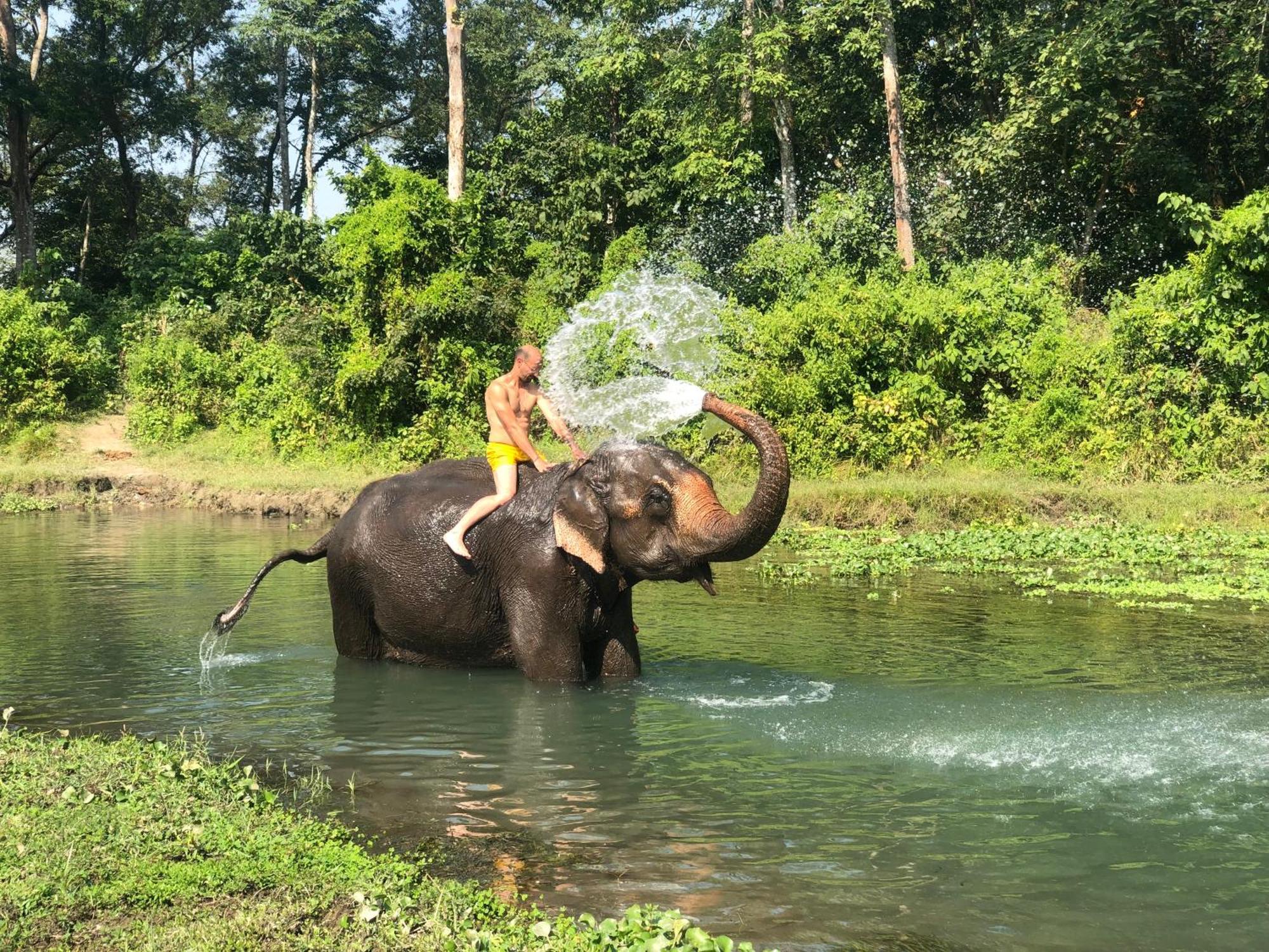 Hotel Tharu Garden And Beer Bar Chitwan Buitenkant foto